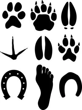 Paw prints Stock Illustration