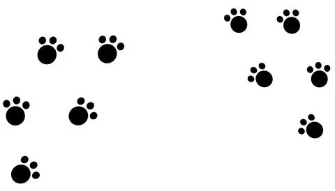 Paw Prints Isolated on White Background. Vector Illustration. Stock Illustration