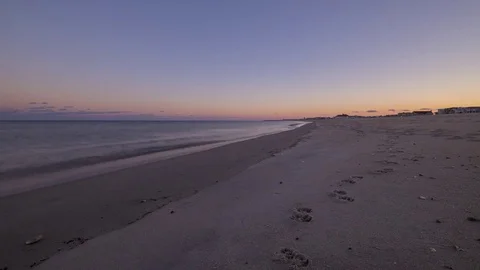 Paw prints in the sand as the sun sets at the beach Vidéo 73479033
