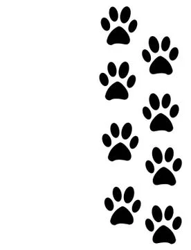 Paw Prints in the snow Stock Illustration