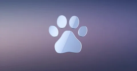 Paw Silver 3d Icon Stock Footage 72009014