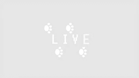 Paw streaming Text animation 1080p - 30 fps - Alpha Channel Stock Footage 256200860