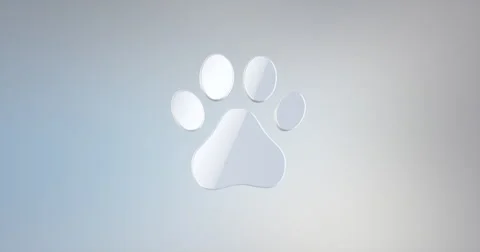 Paw White 3d Icon Stock Footage 68030828