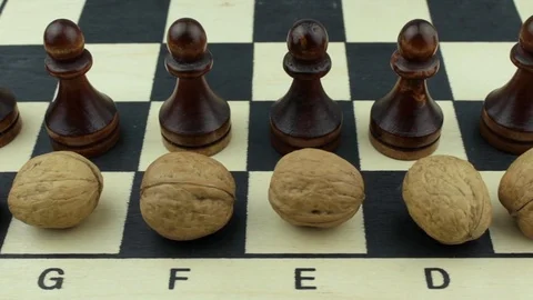 Pawns and nuts Stock Footage 80361954