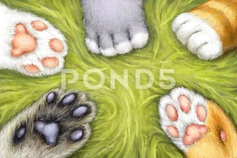 Paws of cats Stock Illustration