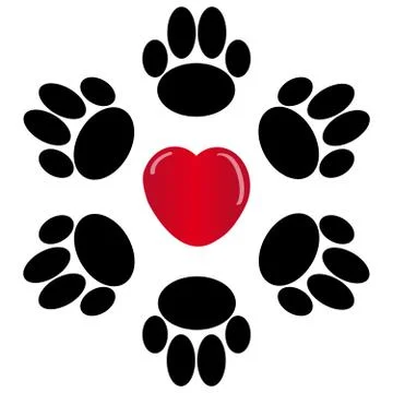 Paws with heart on white background Stock Illustration
