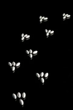Paws of pills Stock Photos