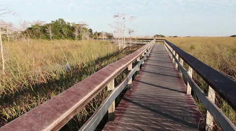 Pay-hay-okee overlook trail, Everglades, National Park, Florida Stock Footage 34393549