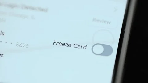 Payment Card Active Status Shown In Banking Application 4K Stock Footage 341854138