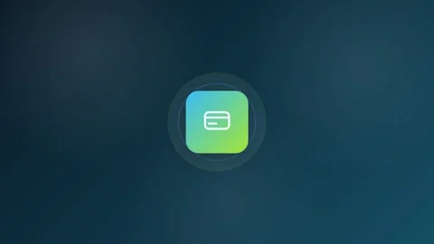 Payment Card Animated Icon 16:9 Stock Footage 345159155