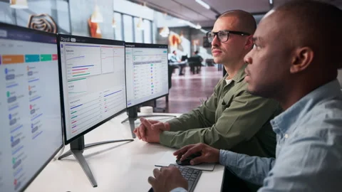 Payroll Manager And Assistant Discuss Employee Salary Automation Process Stock Footage 335878494