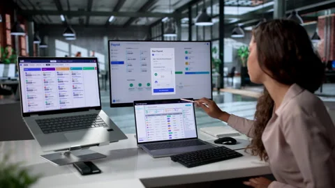 Payroll Manager Uses Software On Laptop Stock Footage 336795786