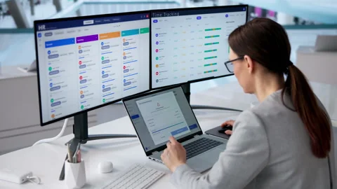 Payroll Software System Ensuring HR 스톡 동영상 331522903