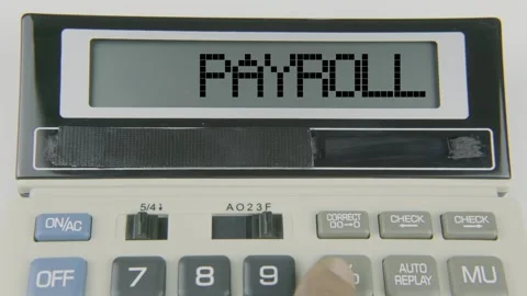 Payroll Text or Words and Hand Typing  Concept Calculator Stock Footage 307048459