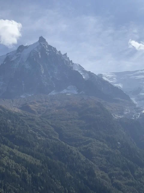 Paysage Stock Footage 319441081