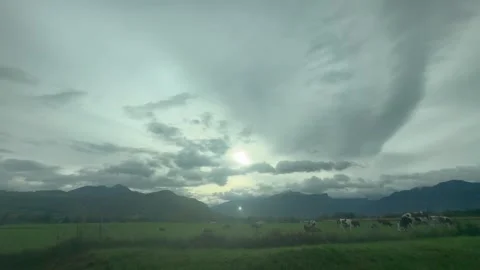 Paysage Stock Footage 319552406