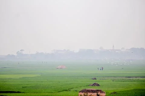 Paysage Stock Photos