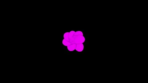 PB Sym Seven From Center Stock Footage 95838970