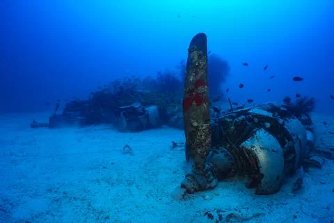 PB4Y World War 2 Plane Wreck Stock Photos