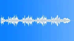 PBFX Ambulance Int Large Siren 01 Sound Effect