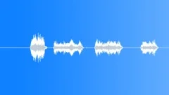 PBFX Mexico Policeman Car Megaphone 01Sound Effect