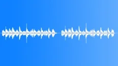PBFX Monster rage breath rabid with without rvrb 01 Sound Effect