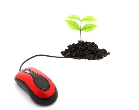 Pc mouse isolated on white with clipping path Stock Photos