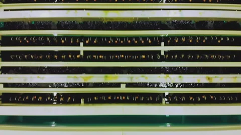 PCB circuit board plating process bath line Stock Footage 114510140