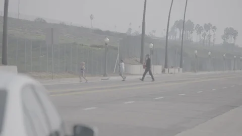 PCH Stock Footage 100284404