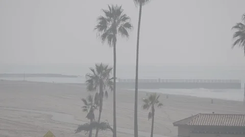 PCH Pan Stock Footage 100284309