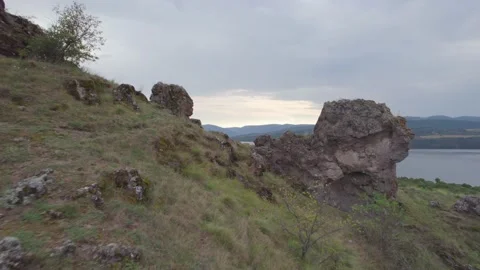 Pchelina Stock Footage 230608853