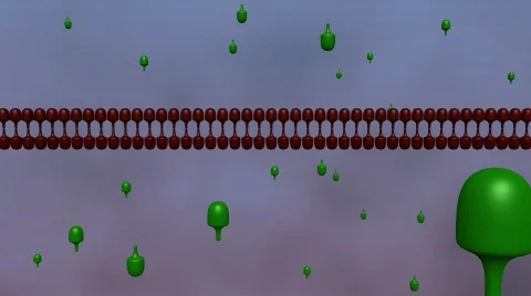 PCR | 1 cycle Stock Footage 335591