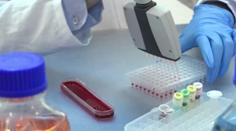 PCR genetic research in laboratory Stock Footage