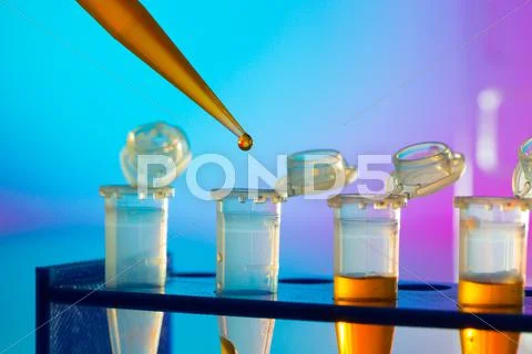 PCR strip test tubes and micropipette in genetics laboratory Stock Photos