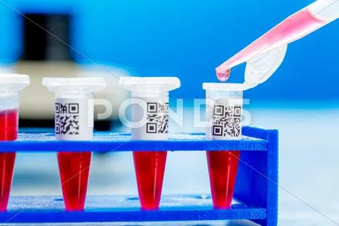 PCR strip test tubes and micropipette in genetics laboratory Stock Photos