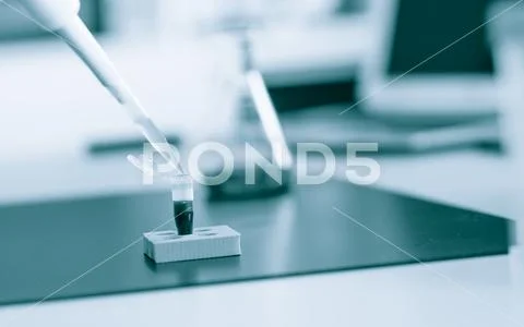PCR strip test tubes and micropipette in genetics laboratory. Stock Photos