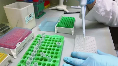 PCR test laboratory genetic testing. Video stock 180144715