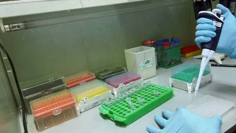 PCR test laboratory genetic testing. Stock Footage 180144820
