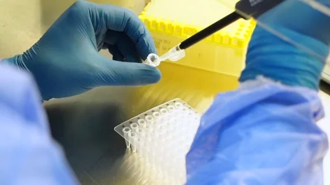 PCR test taking a sample from the tube coronavirus tube Stock Footage 149071921
