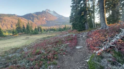 PCT backpacking Oregon: Mount Jefferson from Jefferson Park fall colors Stock Footage 329457459