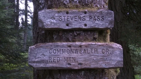 PCT Trail Marker Stevens Pass Stock Footage 91465717