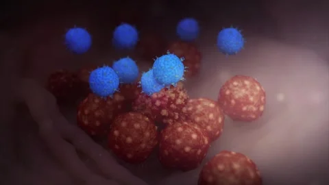 PD-1 monoclonal antibody binds to effector T cells Vidéo 345012266