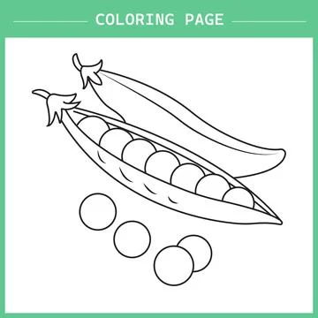 Pea coloring page vector illustration イラスト素材