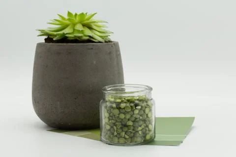 Pea Green 1 Stock Photos