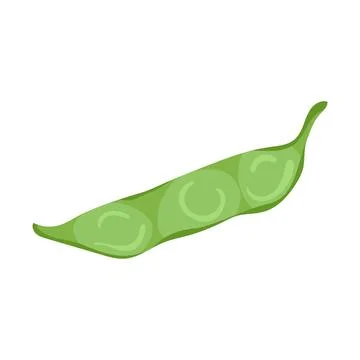 Pea green vegetable isolated vector color Stock Illustration