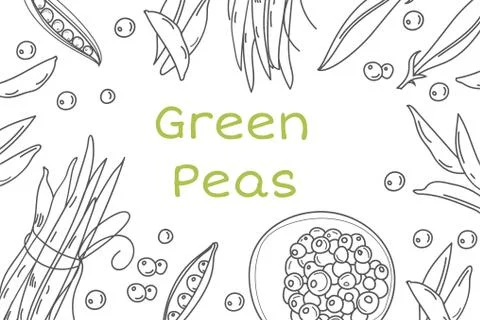 Pea hand drawn vector frame. Isolated Sketch of natural products drawing Illustrazione stock