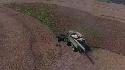 Pea Harvest01 Stock Footage 157601694