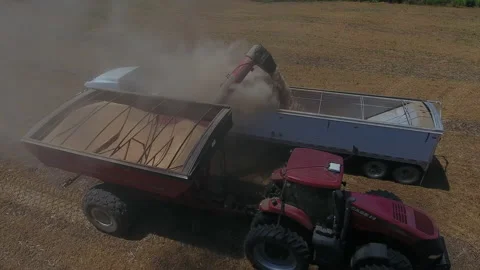 Pea Harvest02 Stock Footage 157602850