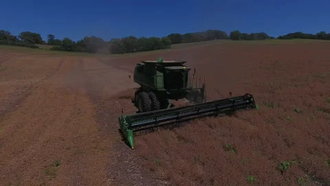 Pea Harvest04 Stock Footage 157598845