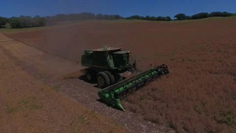 Pea Harvest05 Stock Footage 157600675